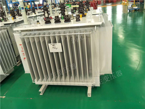 萧县S22-1600KVA/10KV/0.4KV油浸式变压器